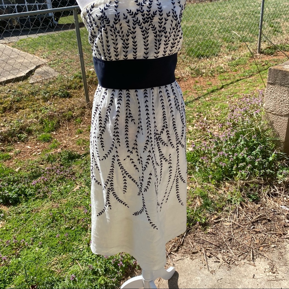 Ann Taylor Cream & Navy Embroidered Dress size 10